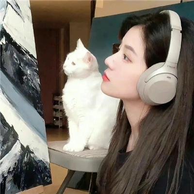 完美叛侣粤语